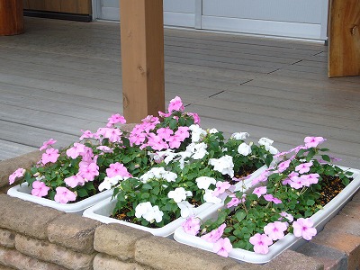 hachioujimp20120614a.jpg