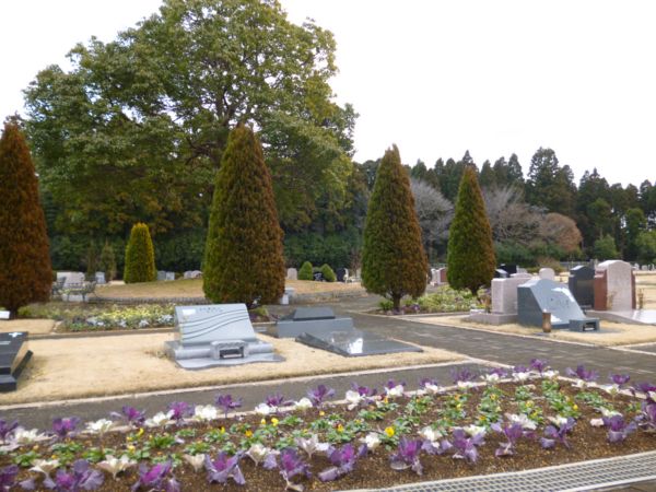 chibahigashi20121223a.jpg