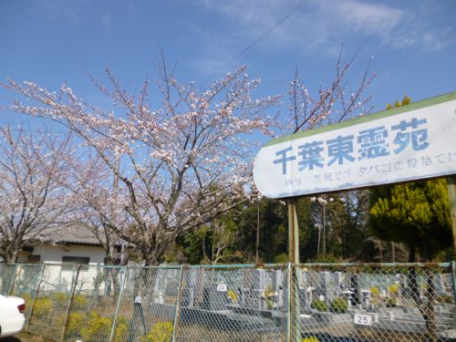 chibahigashi20130321s2.jpg