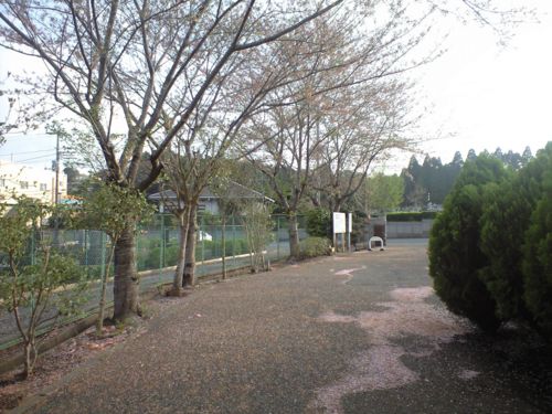 chibahigashi20130405s.jpg