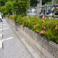 hunabashi20130513b.jpg