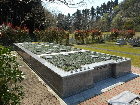 s-DSCN6878.jpg