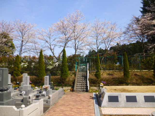 shisui20120414.jpg