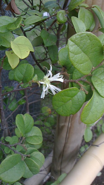 20191015a.jpg