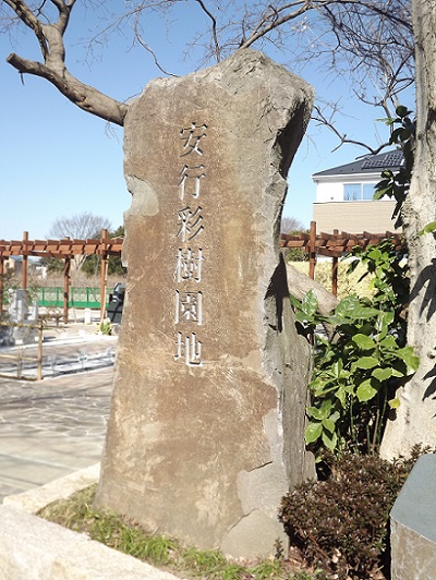 angyou201935a.jpg