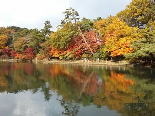 koubeseichi20161120b.jpg