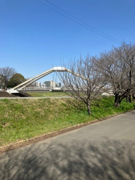 koushouji-2024317b.jpg