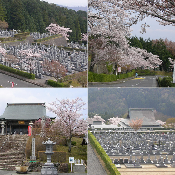 enryakuji20130329a.jpg