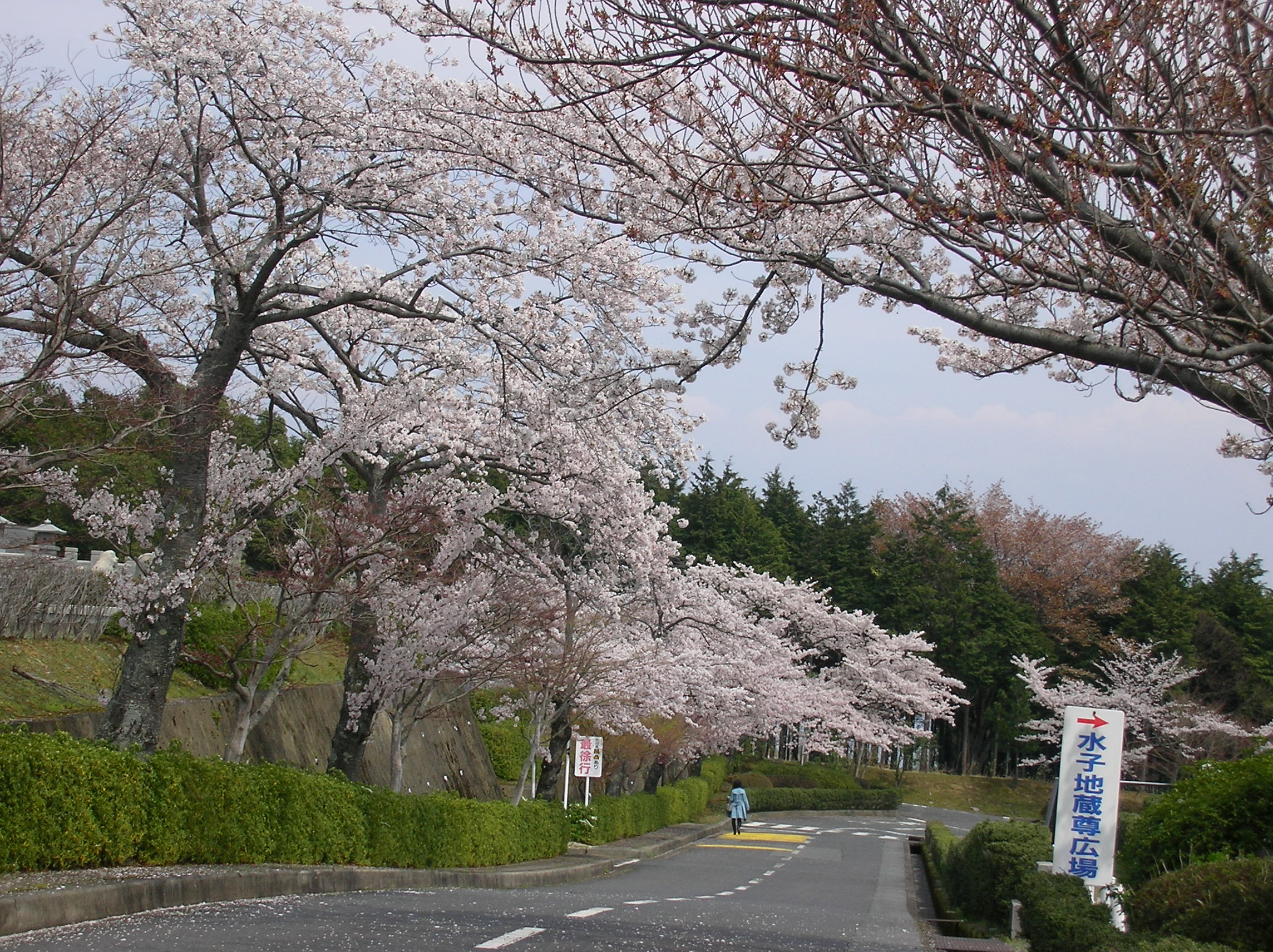 kyoto20140404a.JPG