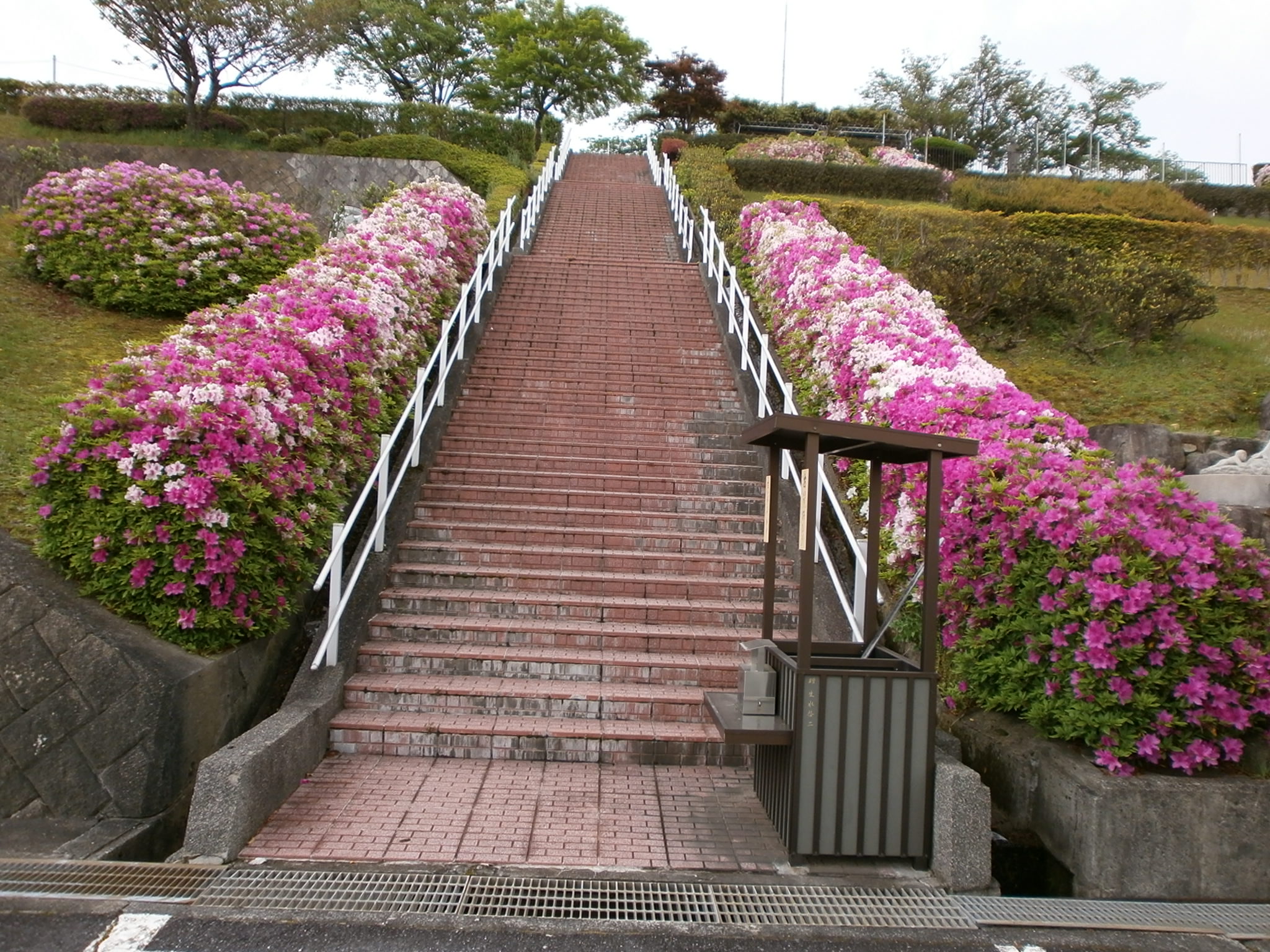 kyoto20140404b.JPG