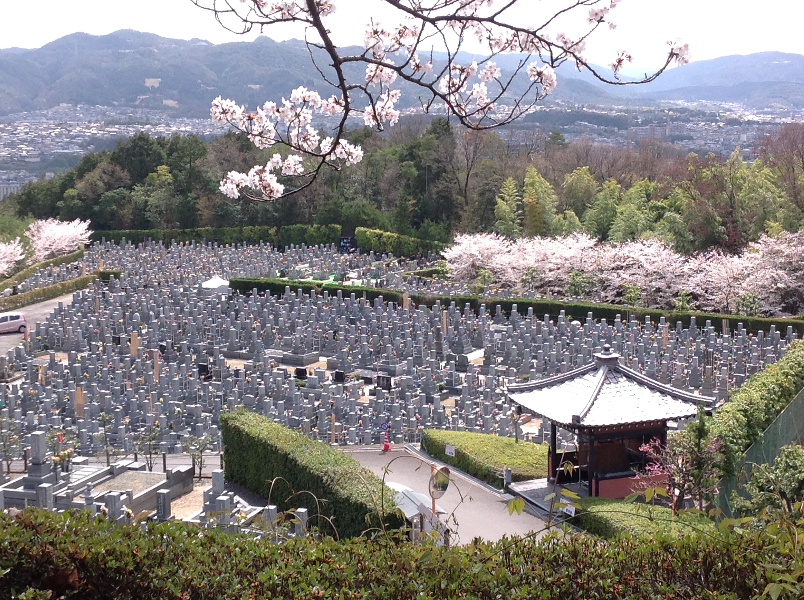 kyoto20140406a.JPG