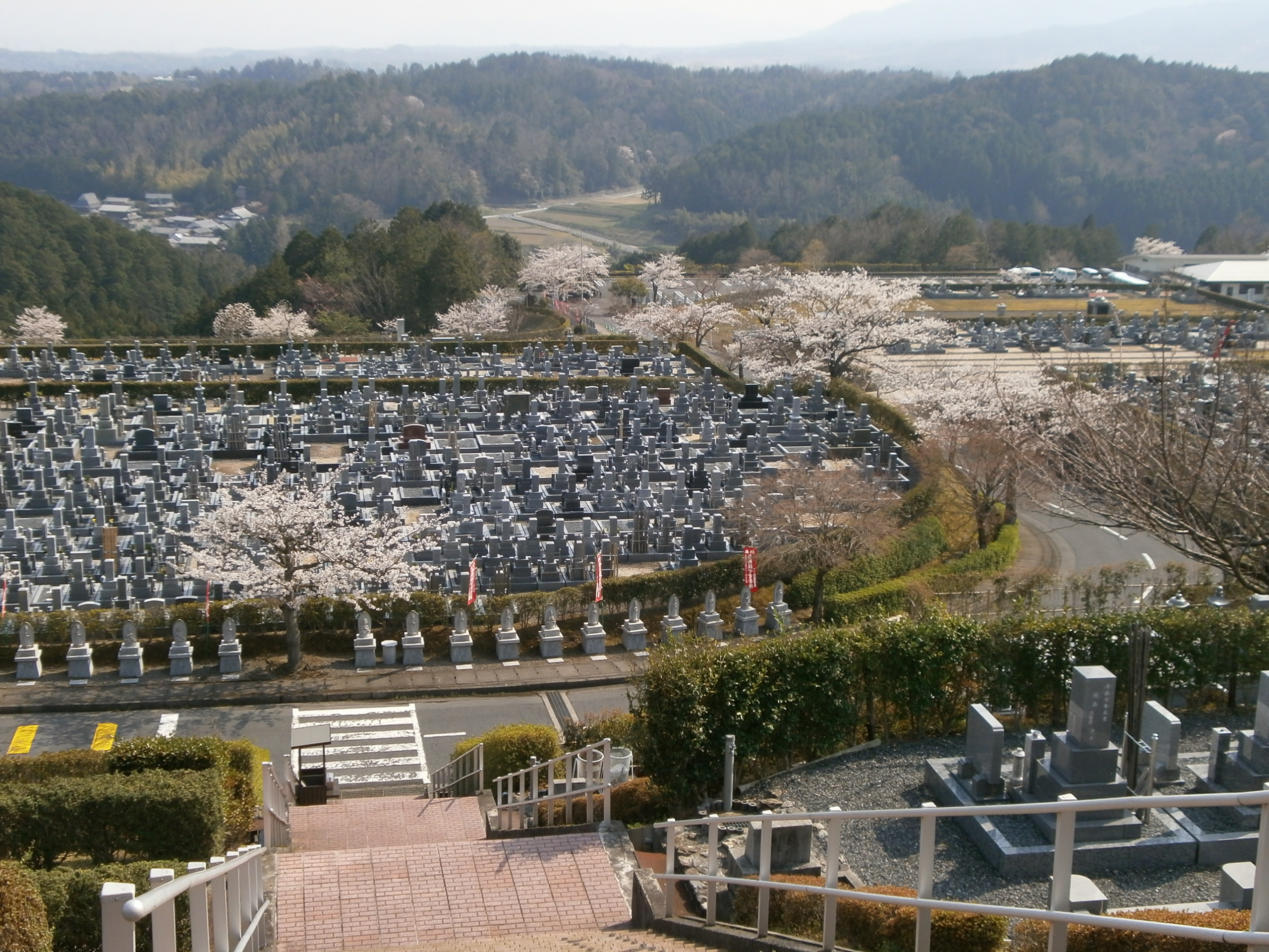 kyoto20140411b.JPG