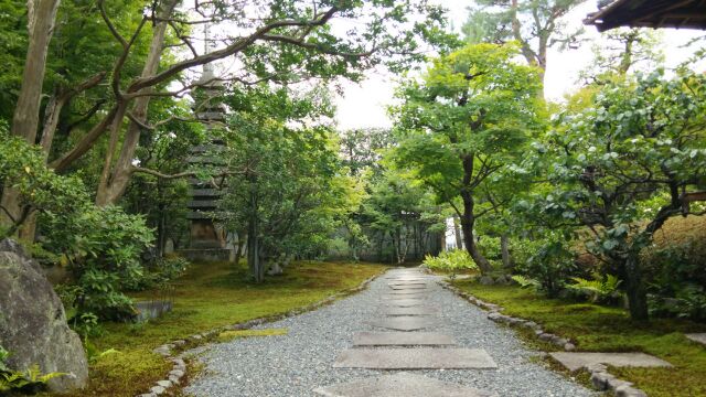 kyoto20140707y.jpg