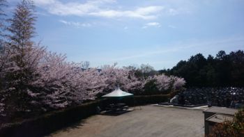 kyoto20150407a.jpg