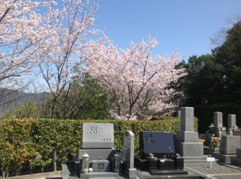 kyoto20150407g.jpg