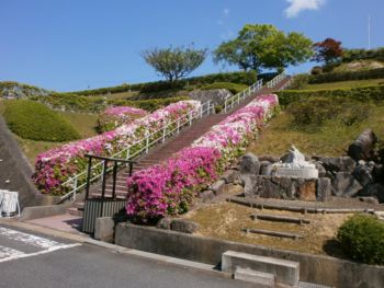 kyoto20150510c.jpg