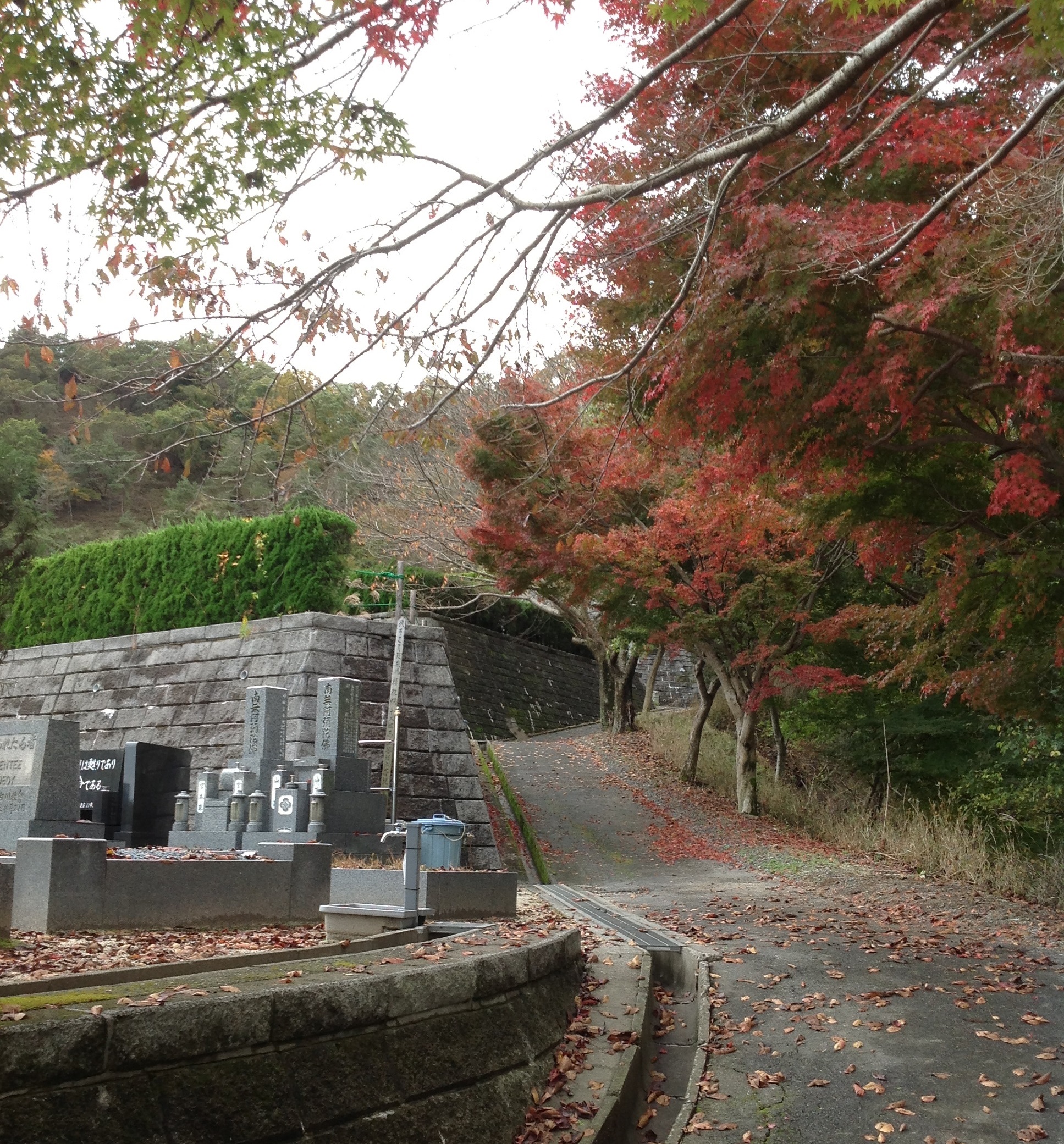 kyoto20151129a.jpg