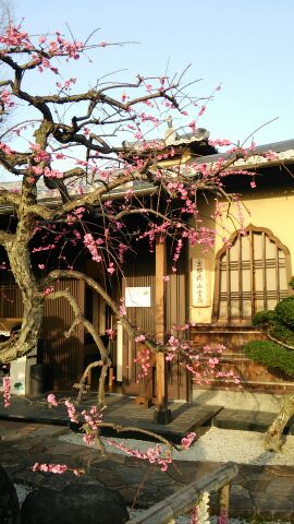 momoyama20150330a.jpg