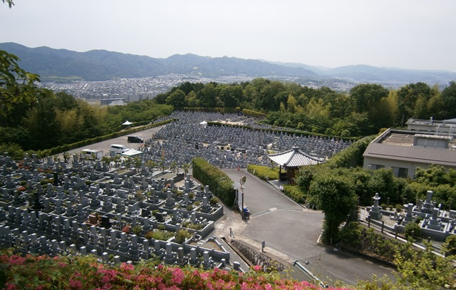 momoyama20150816a.jpg