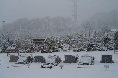 朝１１時.jpg