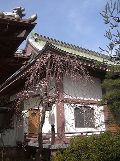 kannonji2012030603.jpg