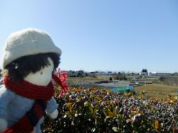 DSCF6294.jpg