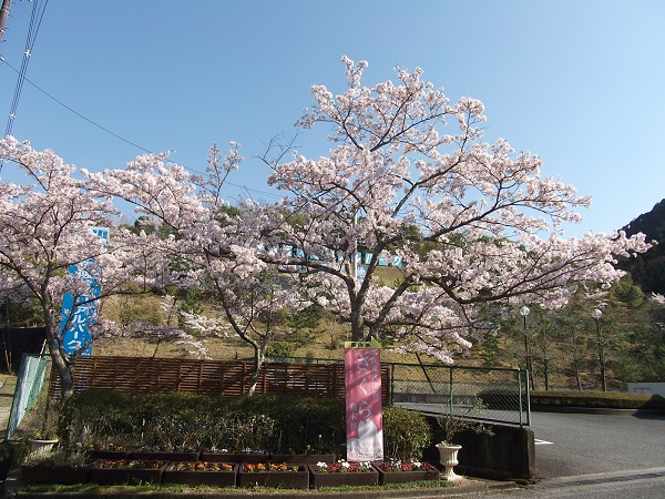 chihaya2020.4.2g.jpg