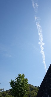 新緑　飛行機雲.jpg