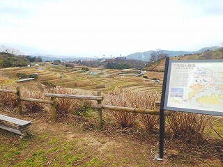 棚田②全景.jpg