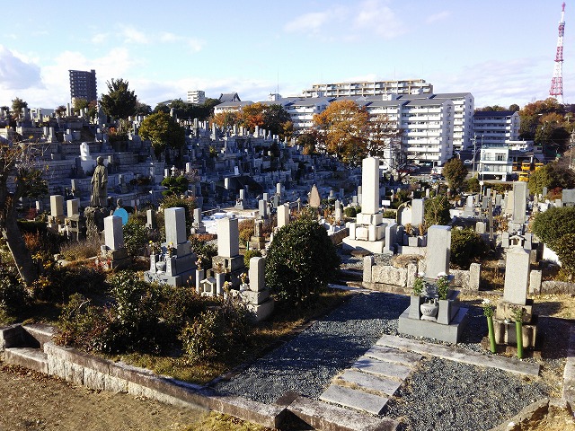 nagoya20170120a.jpg