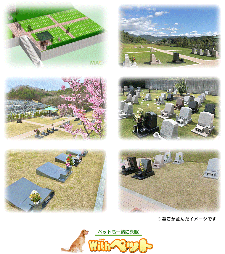 「蓮華B地区」