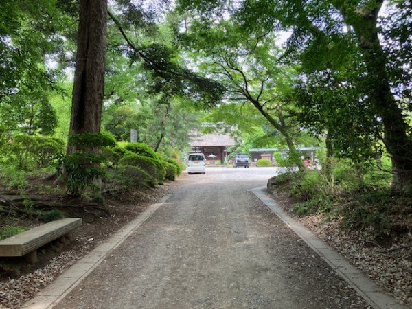 angyo-202467b.jpg
