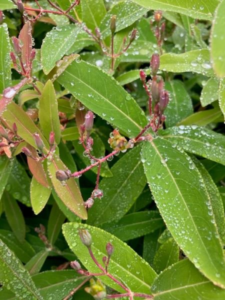 angyo-2025510a.jpg