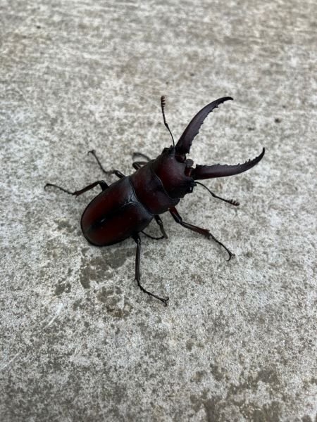 angyo-202582b.jpg