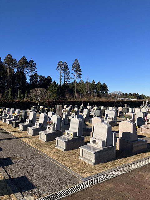 chibahigashi-20240108a.jpg