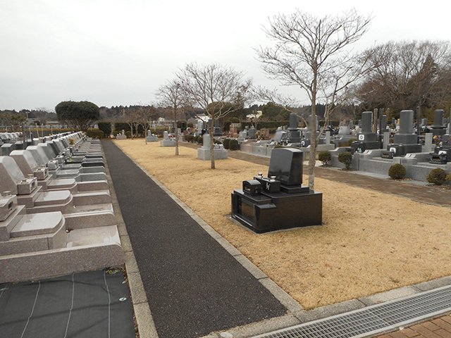 chibahigashi-20240120b.jpg