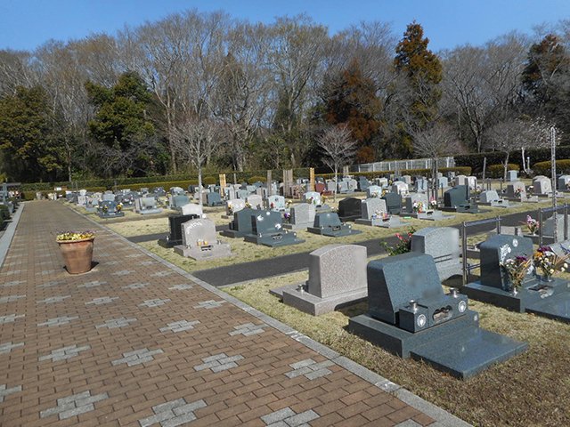 chibahigashi-20240330a.jpg