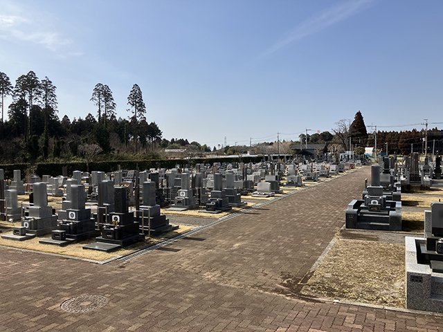 chibahigashi-20250314b.jpg