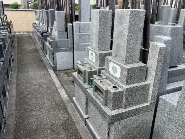 ensenji-2026824d.jpg