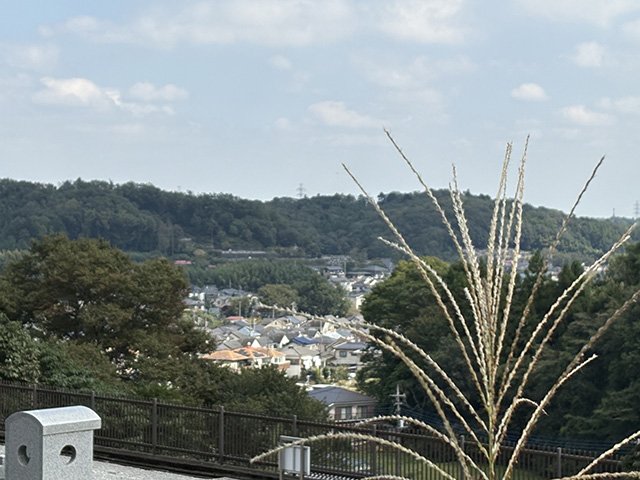 hachioujimp-20260825a.jpg