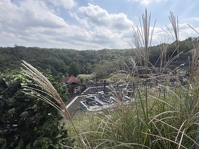 hachioujimp-20260825d.jpg
