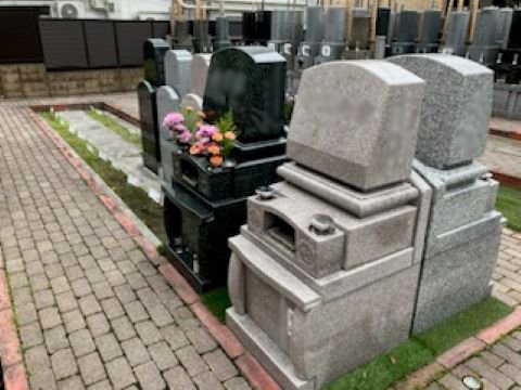 hongouakamon-2025519e.jpg
