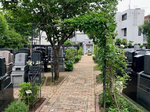 hongouakamon-2025527a.jpg
