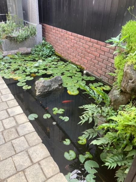 hongouakamon-2025818b.jpg