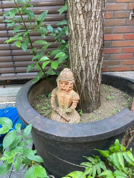 hongouakamon-2026517dd.jpg