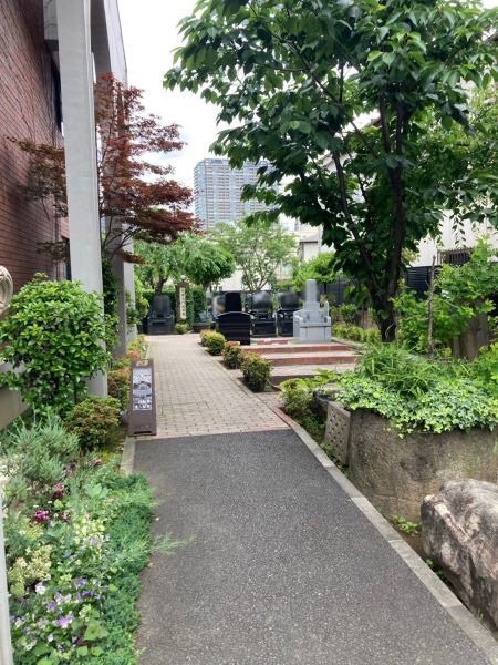hongouakamon-202656c.jpg