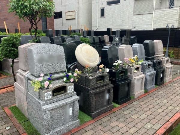 hongouakamon-2026630a.jpg