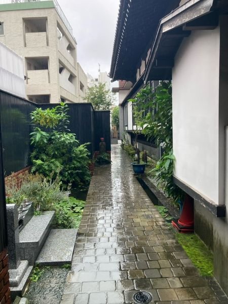 hongouakamon-2026912c.jpg
