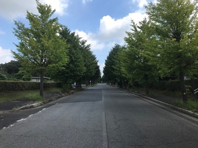 ichikawasiei-20230819a.jpg