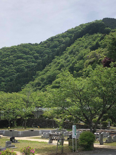 okutama-20210509a.jpg